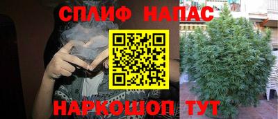 apvp Ставрополь
