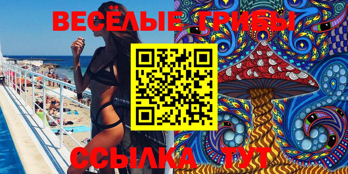 Галлюциногенные грибы Psilocybe Торжок