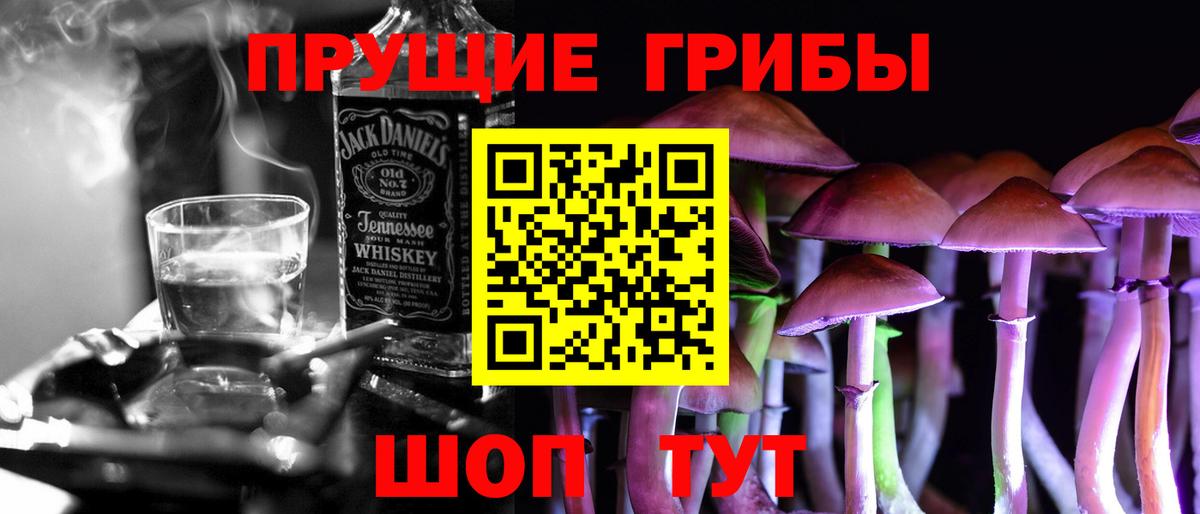Торжок  Псилоцибиновые грибы Psilocybe  наркота  Вход с VPN 